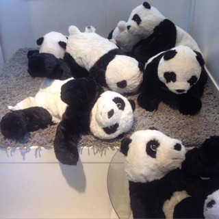 Gấu Panda bông