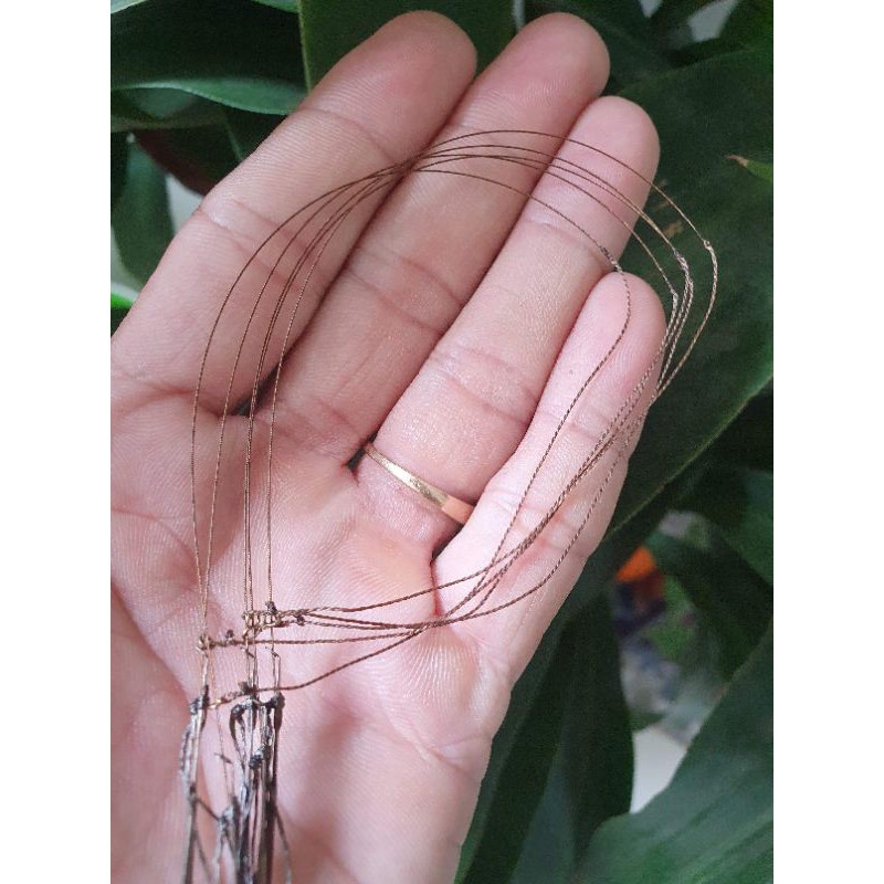 Giò việt cáp se 7 hàng Wip