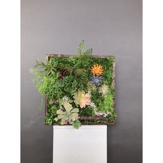 Tranh cây kích thước vuông 40cm trc00032