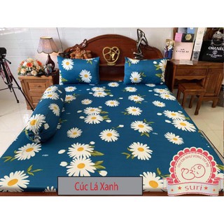 combo ga chống thấm suri 900