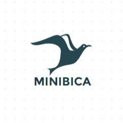 MINIBICA