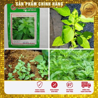 Hạt Giống Rau Thơm Xả (É Trắng) Ngon -0,5gr