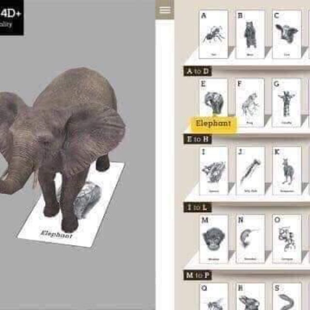 Bộ thẻ flash card animal 4d