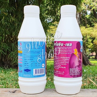 01 Chai Amogin Gel Thái Lan 240ml