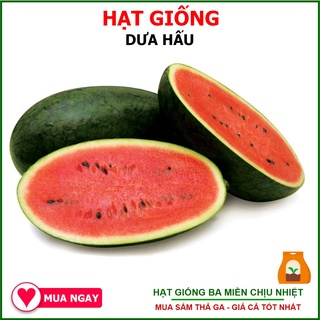 [Giống Chịu Nhiệt] Hạt Giống Dưa Hấu F1 Năng Suất Cao 2 Gram