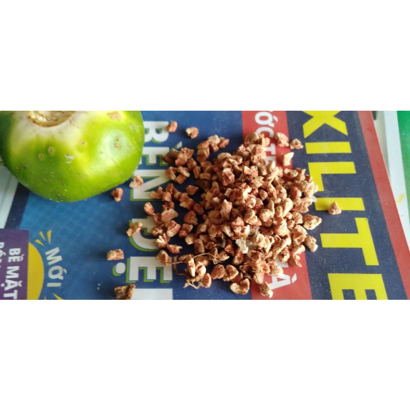 bần ổi ( hạt giống) 30g/30k