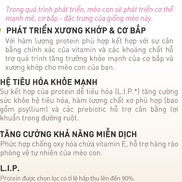 Hạt mèo con Royal Canin Thức ăn cho mèo con British Shorthair Kitten 400g Petemo Pet Shop