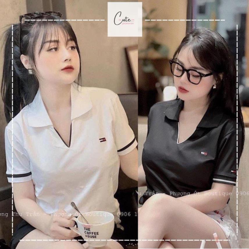 Áo polo nữ Tommy hàng ĐẸP CAO CẤP cổ V phối màu Đen Trắng, áo phông nữ polo Tommy cổ bẻ chữ V, Áo thun nữ cổ bẻ BIGSIZE