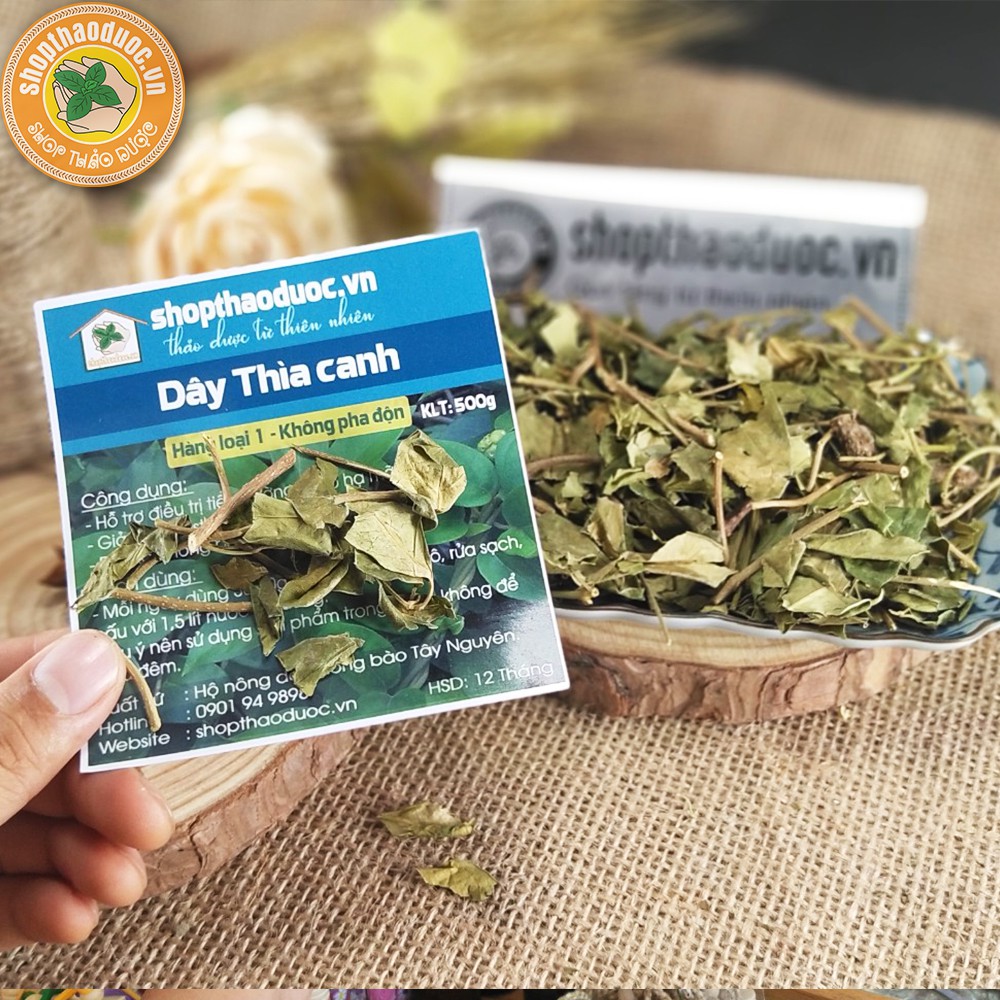 Dây Thìa Canh sạch Gói 500G - Dây Thìa Canh Shop Thảo Dược - Hỗ Trợ Ngăn Ngừa Bệnh Béo Phì, Ổn Định Đường Huyết