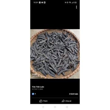 500g quả bồ kết khô