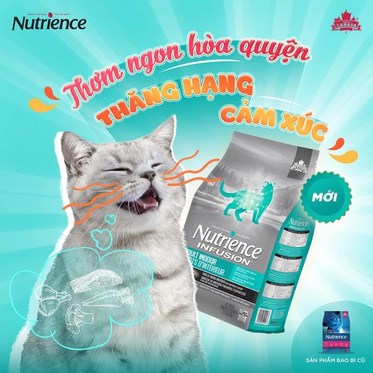Hạt Nutrience Infusion Adult Indoor cho mèo trưởng thành