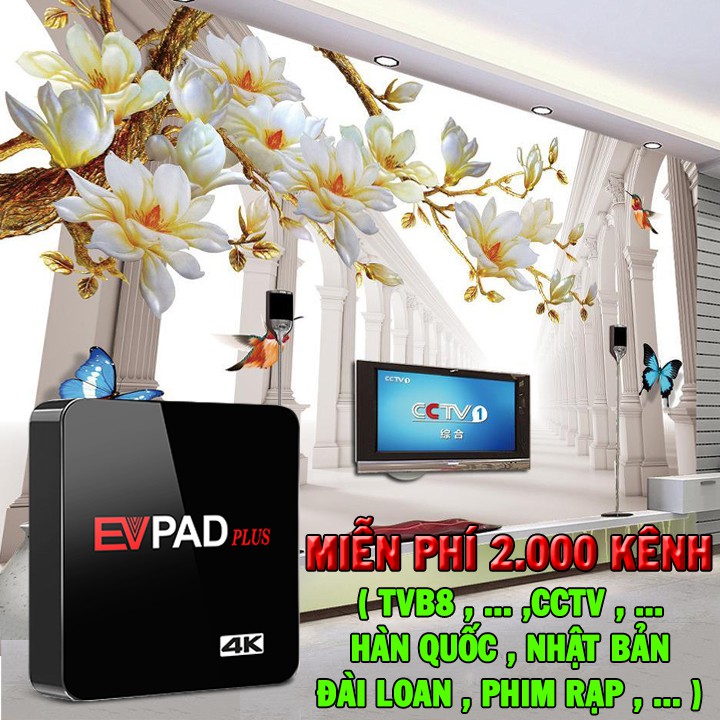 Tivi Box EVPAD Plus-Tivi Box Xem miễn phí 2000 kênh đặc sắc