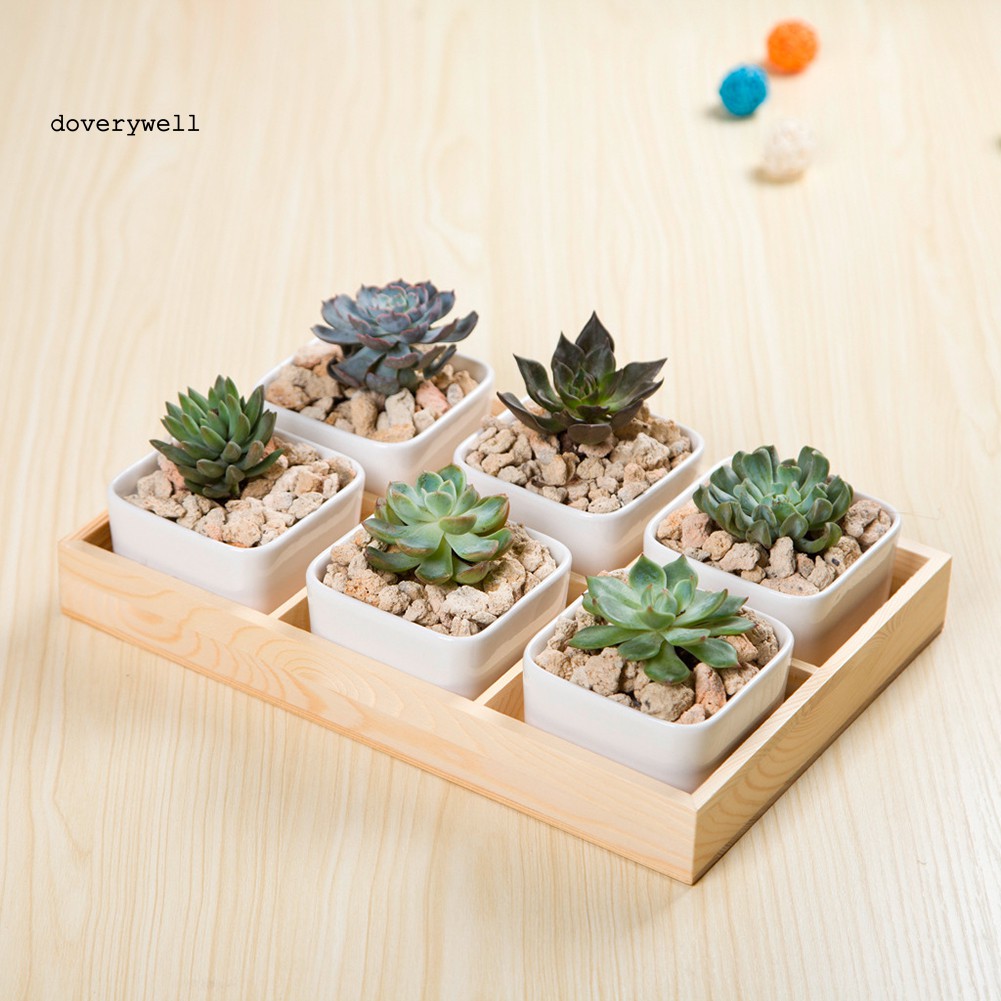 Hộp đựng chậu cây cảnh bằng gỗ nhiều ngăn