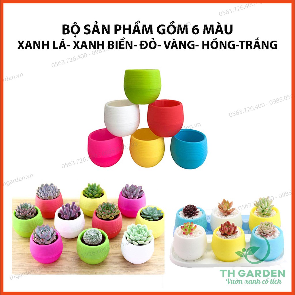 Combo 3 Chậu Cây Mini Có Đáy Trữ Nước - Đa dạng màu sắc - Trang trí nhà cửa, văn phòng tuyệt đẹp | BigBuy360 - bigbuy360.vn