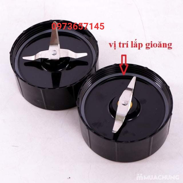 Gioăng cao su Máy Xay 8cm bản mỏng