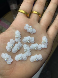 Hoa cúc ruby set 10b đủ nàu