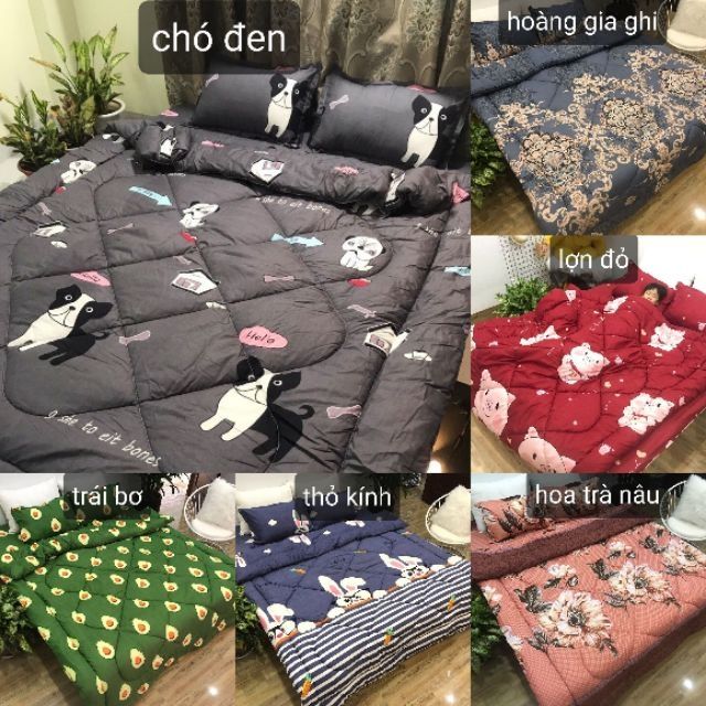 Trọn bộ 5 món chăn phao ga gối poly cotton 2m2