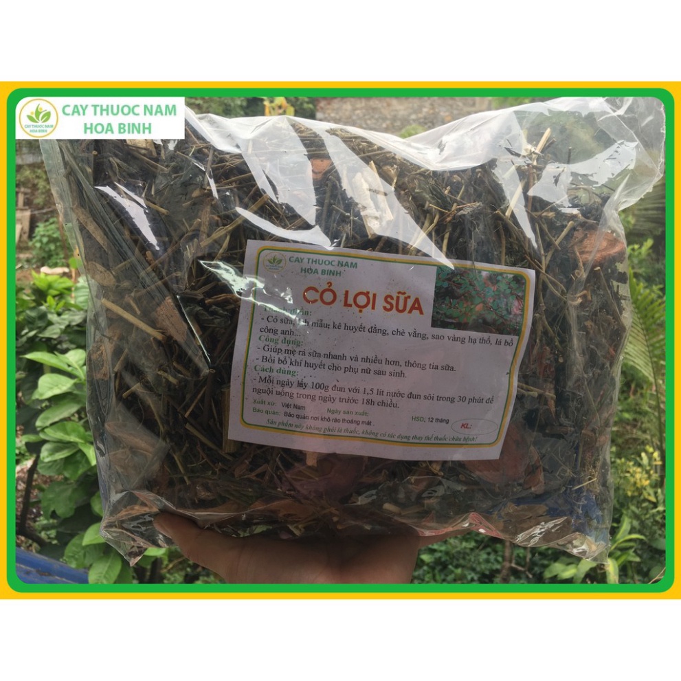 1kg cỏ lợi sữa sau sinh đã sao vàng thơm (gồm 9 vị thảo dược lợi sữa bổ khí huyết) -dltd