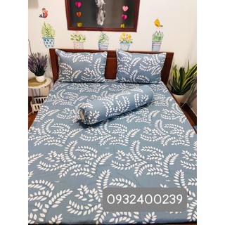 Bộ Drap Thắng Lợi 100% cotton