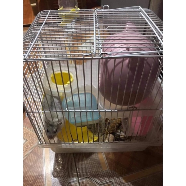 pass lồng hamster k pk