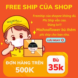 Voucher miễn phí vận chuyển của maihoaflower