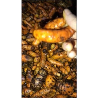 Tinh bột nghệ 1kg