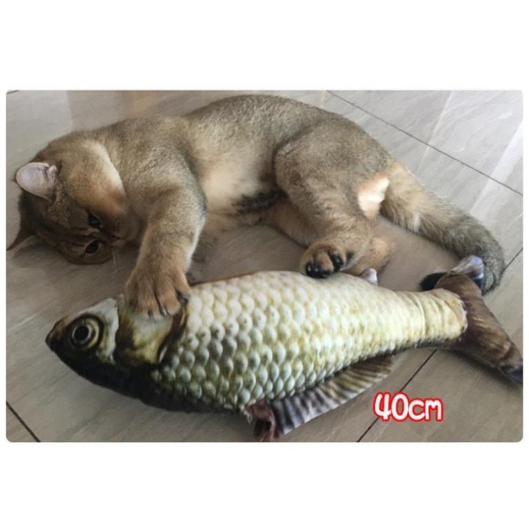 Đồ Chơi Cá Bông Nhồi Catnip Cho Boss Mèo
