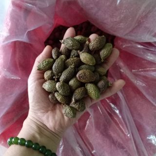 2kg hạt ươi bay chuẩn 100%