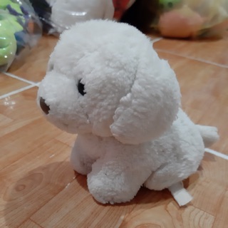 Gấu bông trắng 250/1000