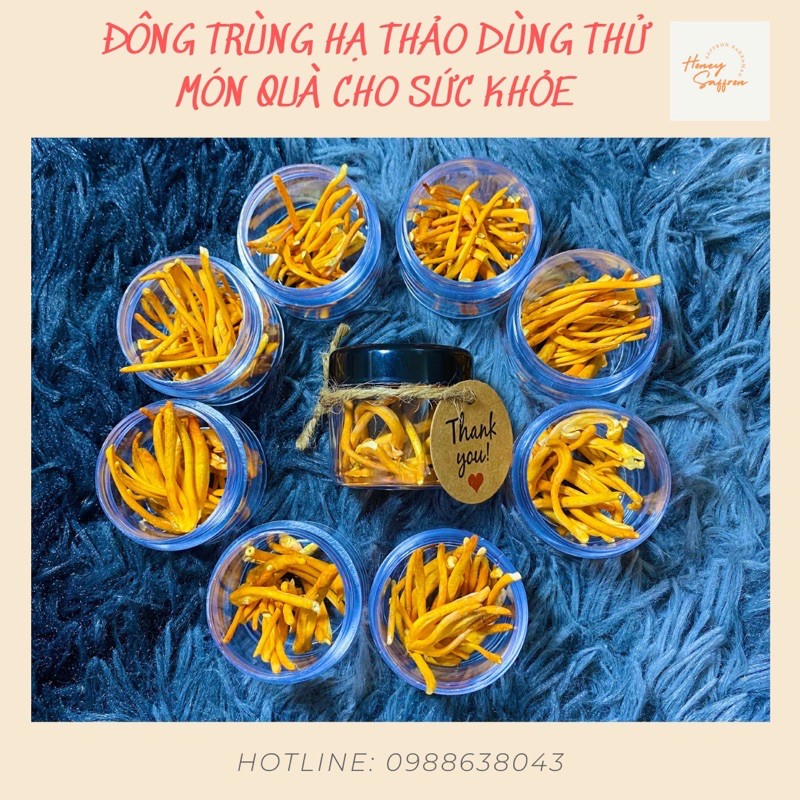 Đông trùng hạ thảo - mẫu dùng thử 7 ngày - hũ 1gr - đông trùng hạ thảo khô sấy thăng hoa cao cấp