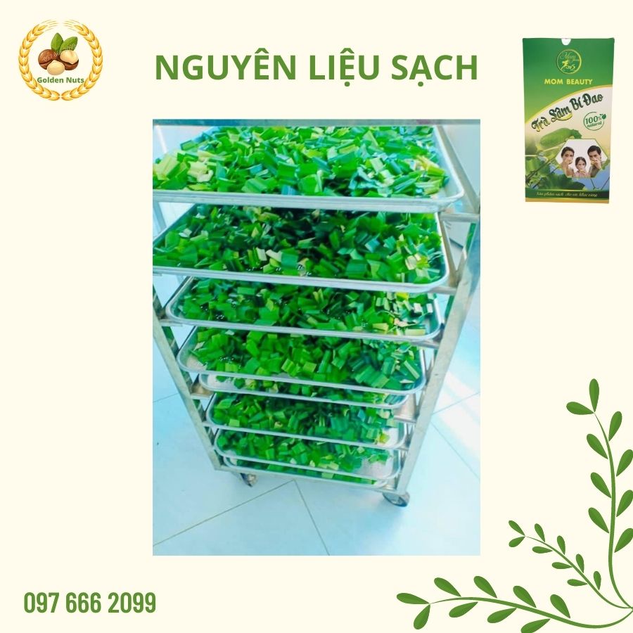 Trà sâm bí đao thanh nhiệt giảm béo, eo thon, giải độc cơ thể, lợi tiểu | BigBuy360 - bigbuy360.vn