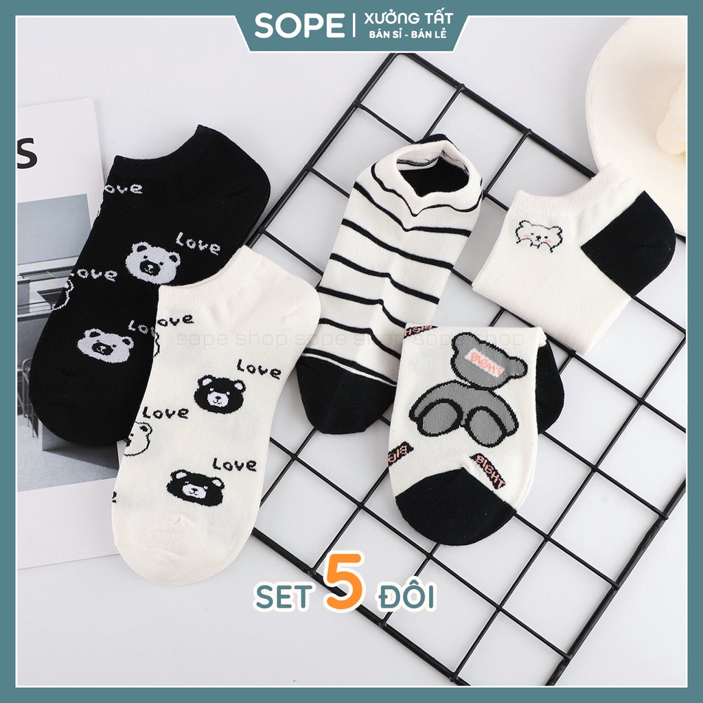 Tất cổ ngắn,vớ cổ ngắn màu đen trắng họa tiết gấu đáng yêu, sét tất vớ 5 đôi - Sope shop