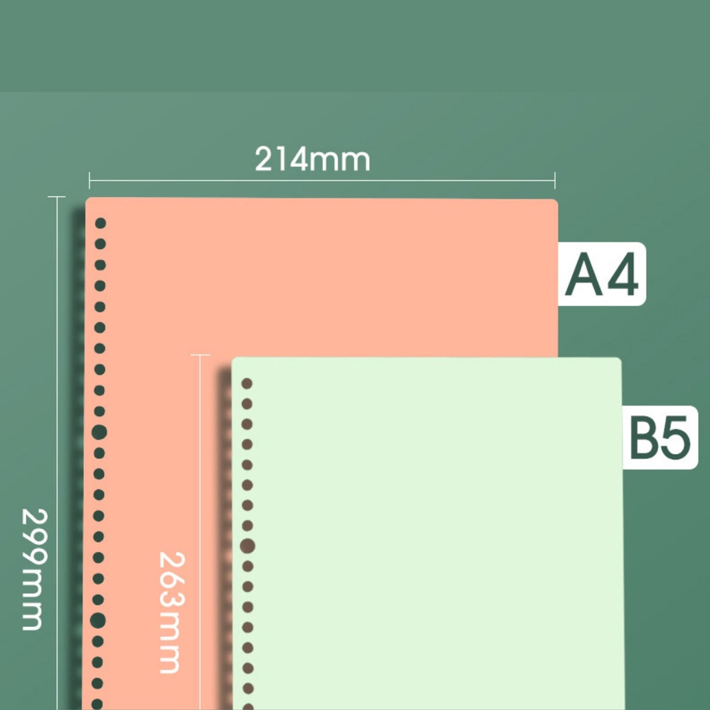 Set 2 bìa sổ còng a4 b5 a6 binder MODINA, bìa nhựa bìa lá cao cấp bền đẹp