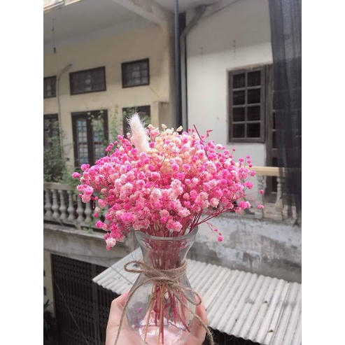 Hoa baby ướp ❤️FREESHIP❤️ Gypsophila hoa khô trang trí phòng ngủ, làm đồ handmade