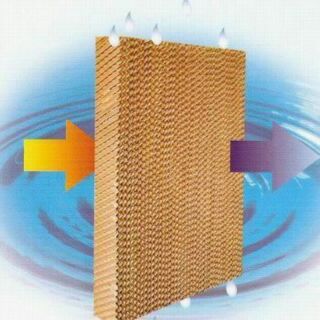 TRỢI GIÁ SHIP Tấm làm mát cooling pad 60X30x 5CM