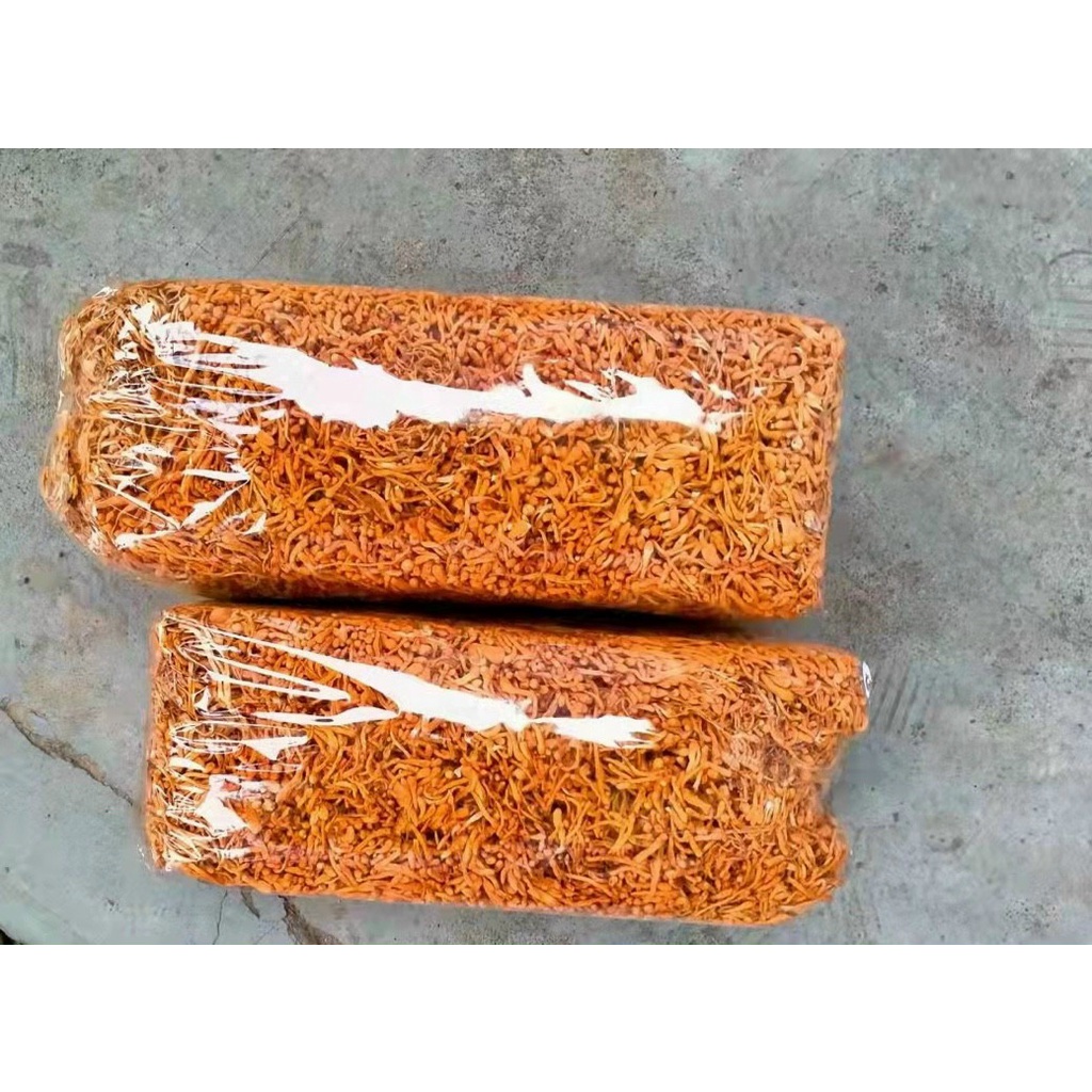 Đông trùng hạ thảo sấy khô loại thượng hạng