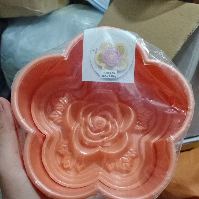 Khuôn xôi hoa hồng cánh mai