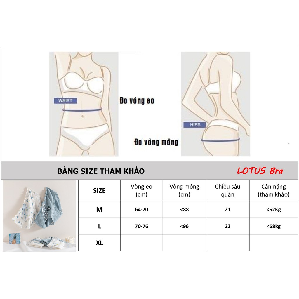 Set 5 quần lót nữ nhiều mẫu xinh xắn dễ thương chất mát co dãn thấm hút_NuciFera