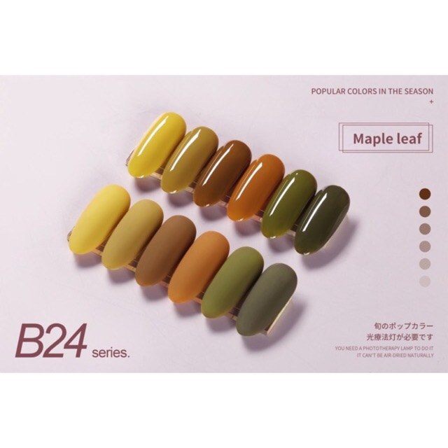 Sơn gel JINJU mã B24 chai 15ml chính hãng