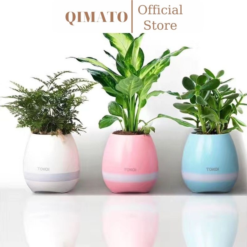 Loa bluetooth mini kèm chậu trồng cây giá rẻ QIMATO SD1945
