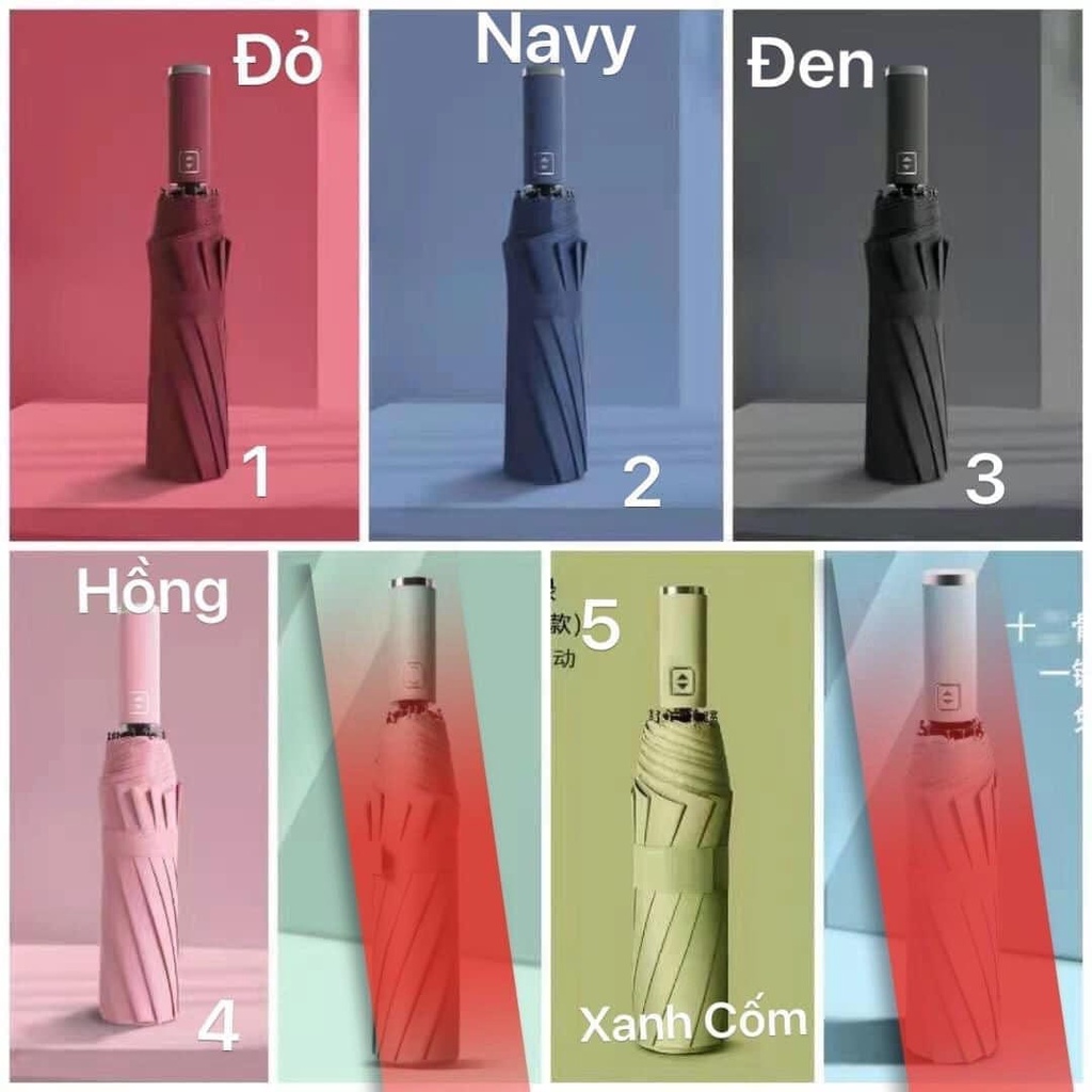 Ô TỰ ĐỘNG NHẬT AJISAI CHỐNG TIA UV LÊN ĐẾN 99%