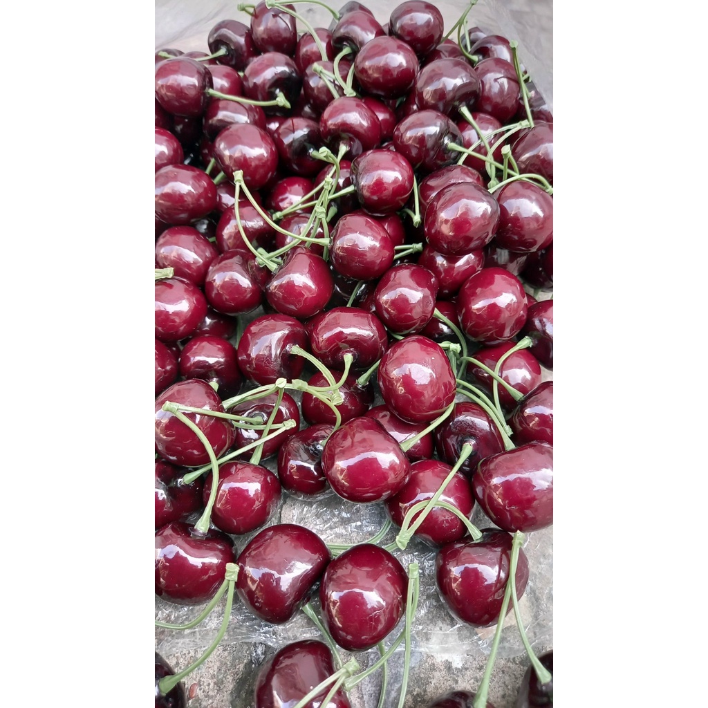 6 Trái Cherry giả - Trái cây giả - Hương Flower