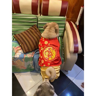 ❤️🧧ÁO DÀI TẾT CHO CHÓ MÈO🧧❤️