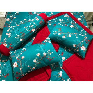 Bộ mền thun hàn quốc m6 (không phối,2 mặt như nhau)