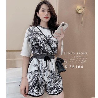 Set bộ cây dừa cotton lụa siêu hit hot - S59
