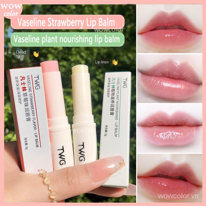 [Hàng mới về] Son dưỡng môi TWG Vaseline chiết xuất thực vật dưỡng ẩm tẩy tế bào chết cao cấp