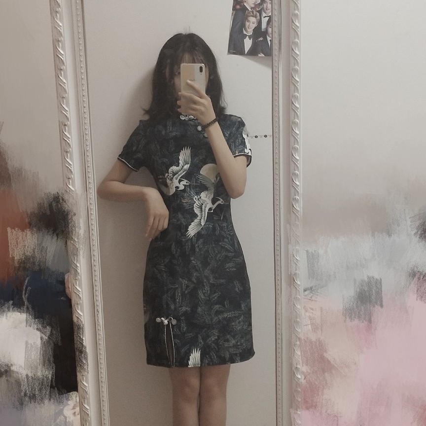 Sườn xám hạc Trung Quốc (ảnh thật) | BigBuy360 - bigbuy360.vn