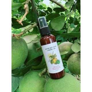 Xịt dưỡng tóc tinh dầu bưởi rừng và hương nhu
