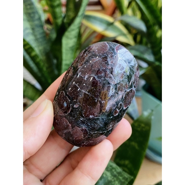 Palm Astrophyllite Garnet