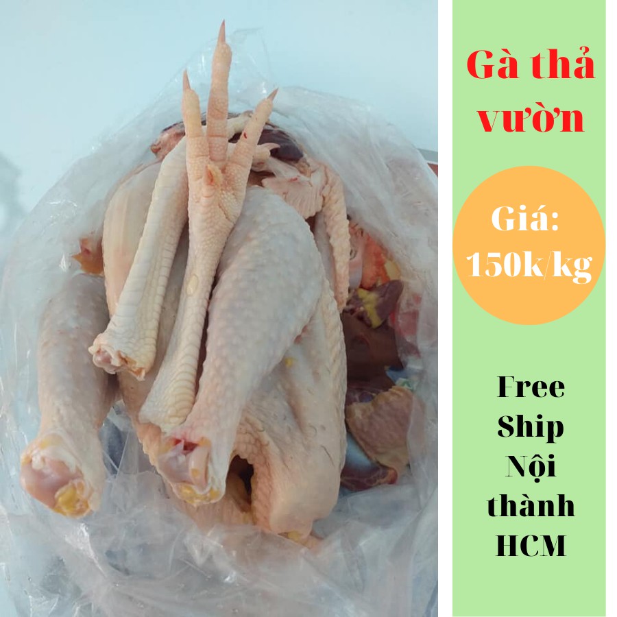 Gà ta thả vườn ( Làm sạch ) giảm chỉ còn ... - rebatngo.org